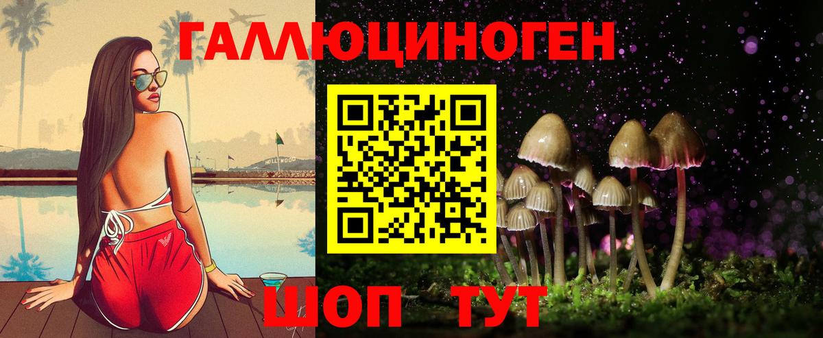 Галлюциногенные грибы Psilocybe Гурьевск