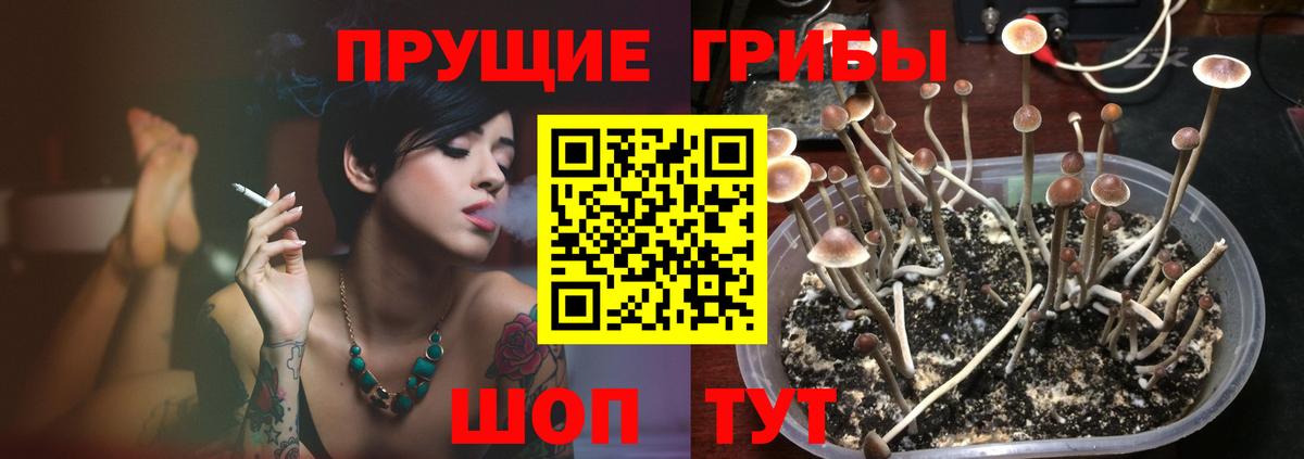 Гурьевск  Псилоцибиновые грибы мухоморы  Псилоцибиновые грибы мухоморы  Вход с VPN 